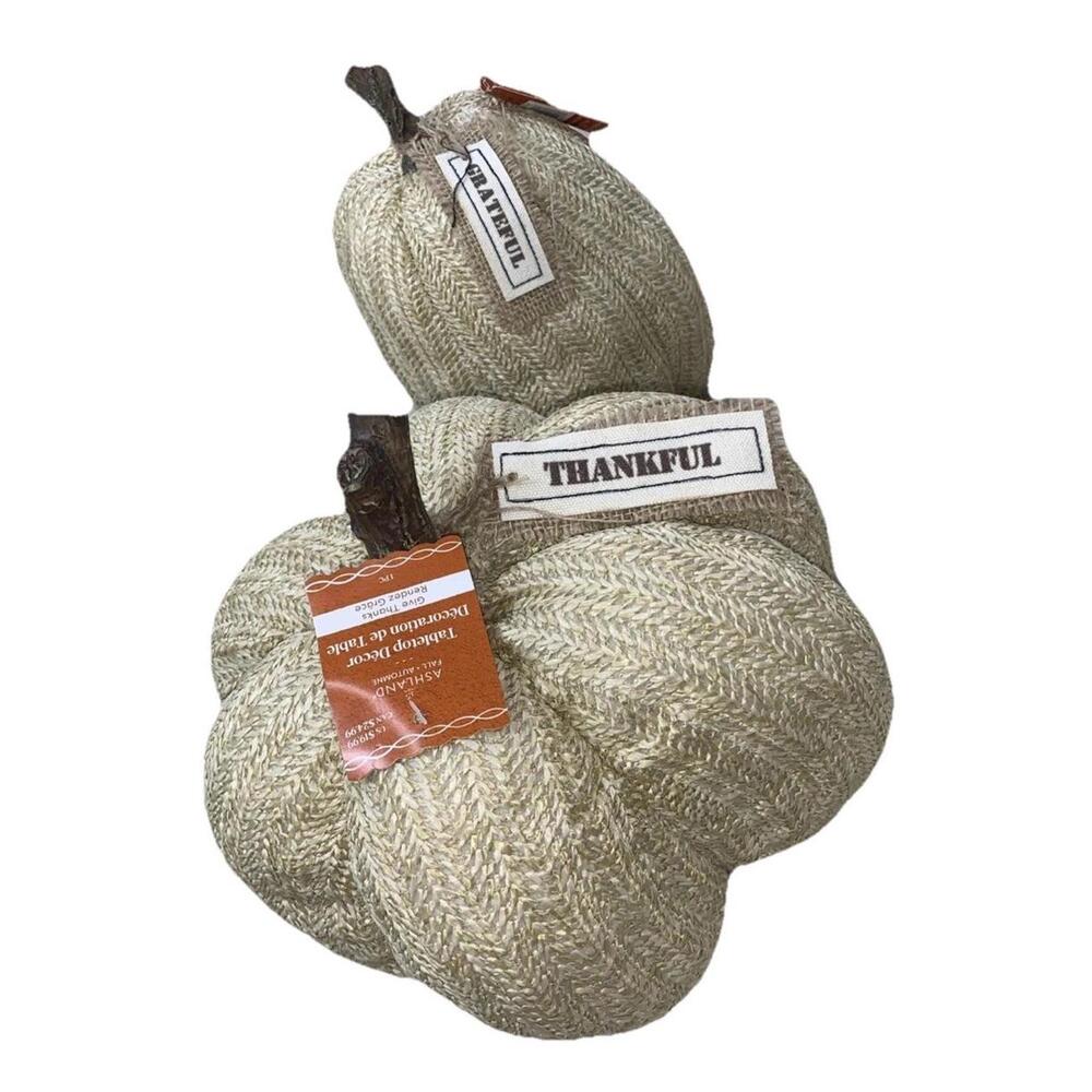 Ashland Give Thanks Soft Tabletop Pumpkins Set Of Two Realistic Stem